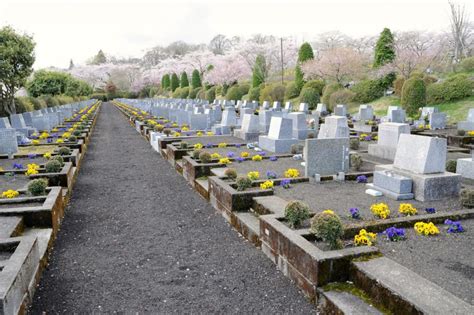 墓 植物|お墓に木を植えてもOK？メリット・デメリットやお手入れ方法。